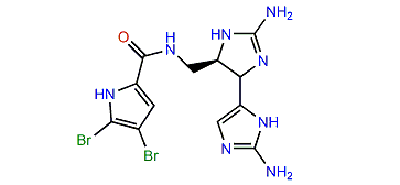 Nagelamide W